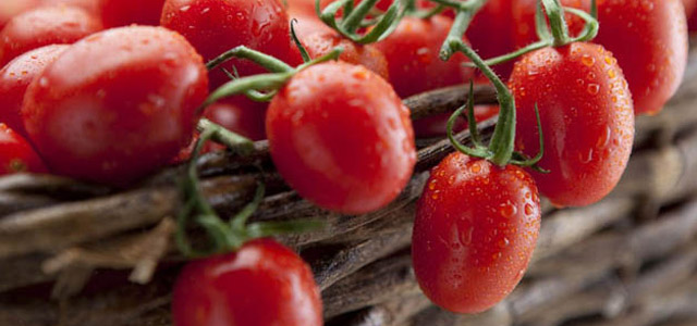 Pomodori