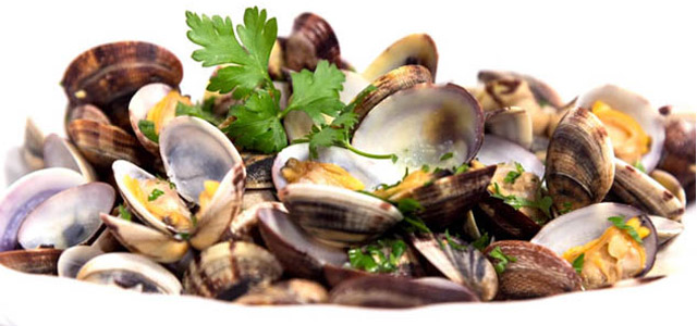 Clams